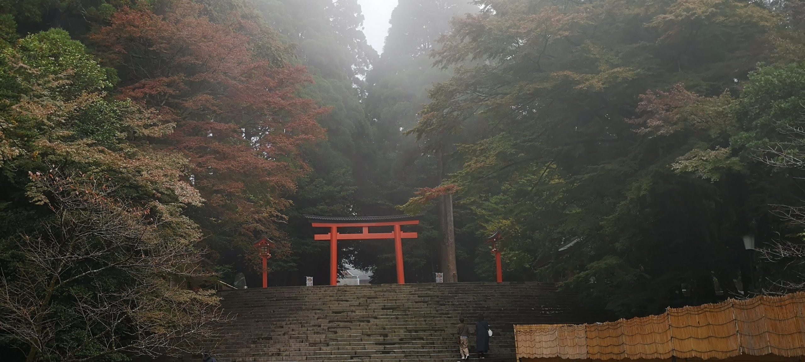 霧島神宮の参道｜鹿児島県霧島市